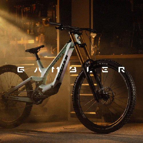 LA NUEVA SCOTT GAMBLER 2026